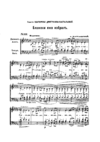 Ks028